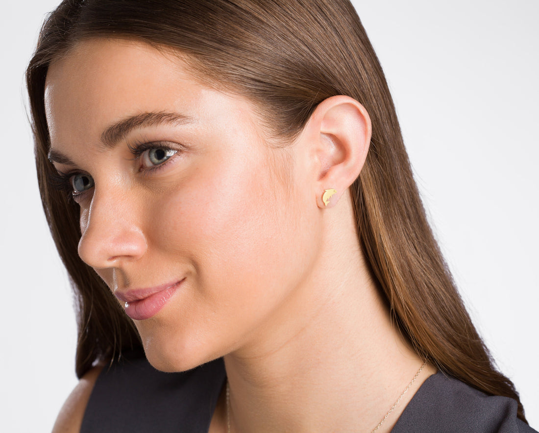 Dolphin Stud Earrings