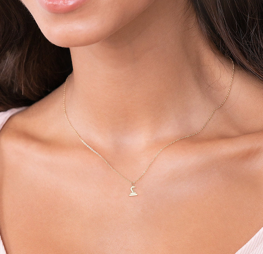 Snake Charm Necklace