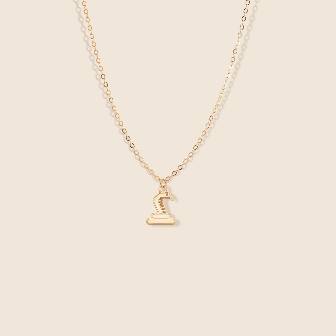 Snake Charm Necklace