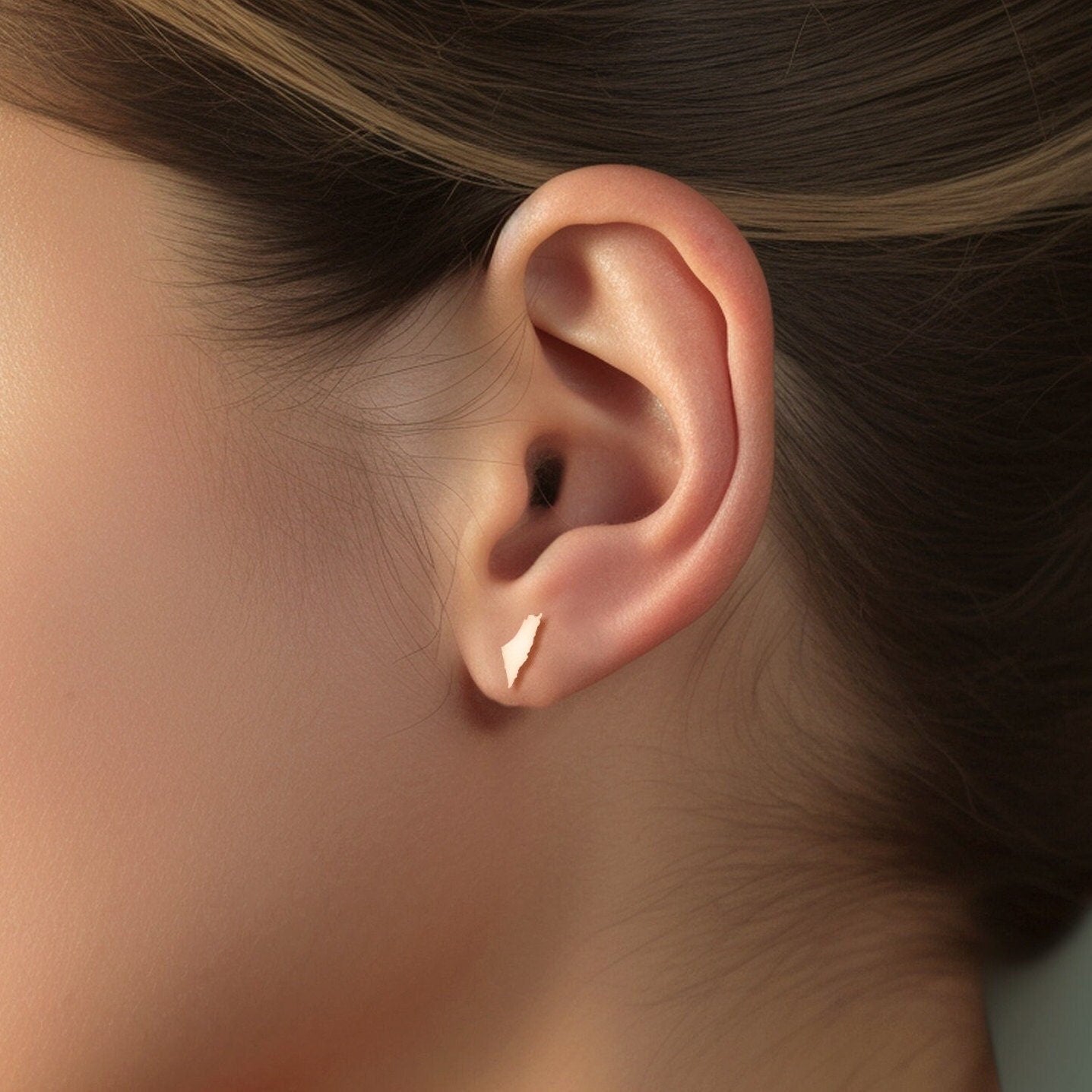 Palestine Map Stud Earrings