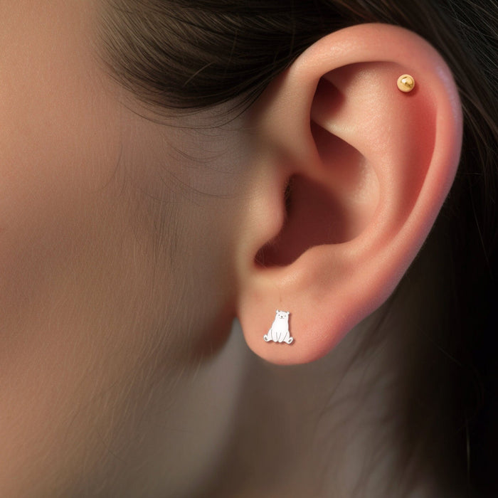 Sitting Bear Studs
