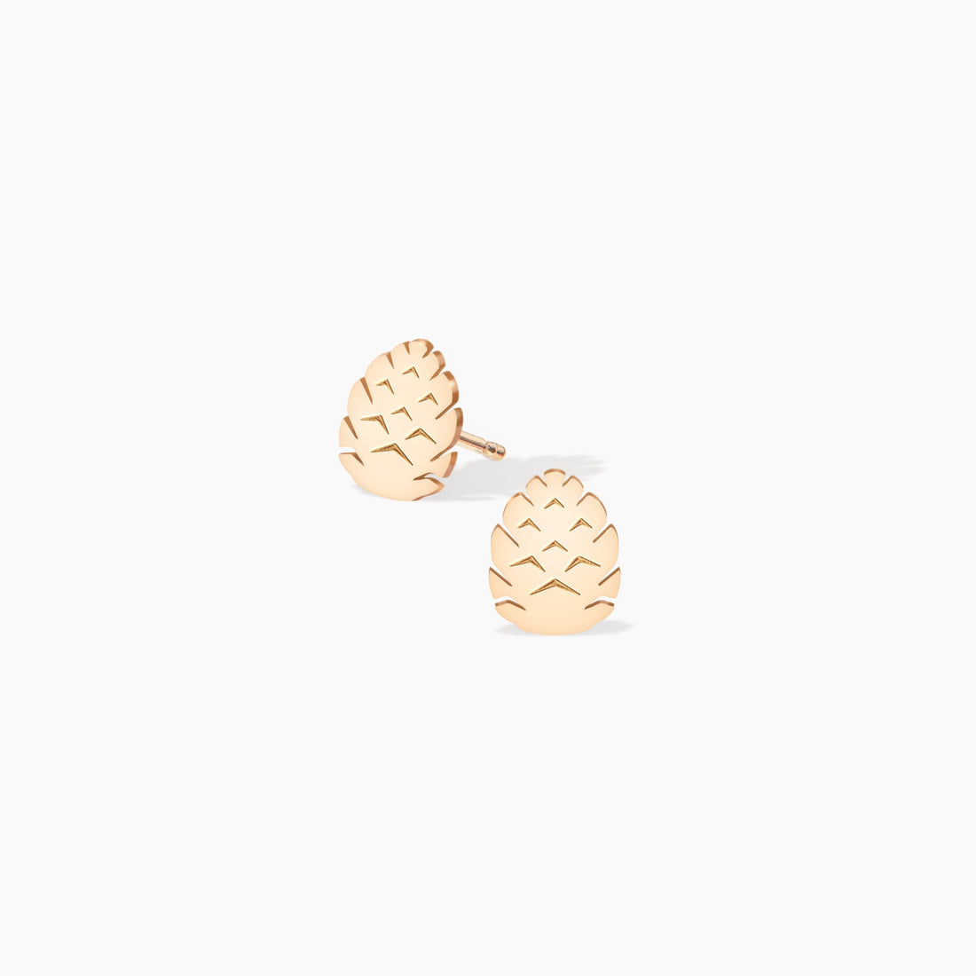 Pinecone Earrings Nature