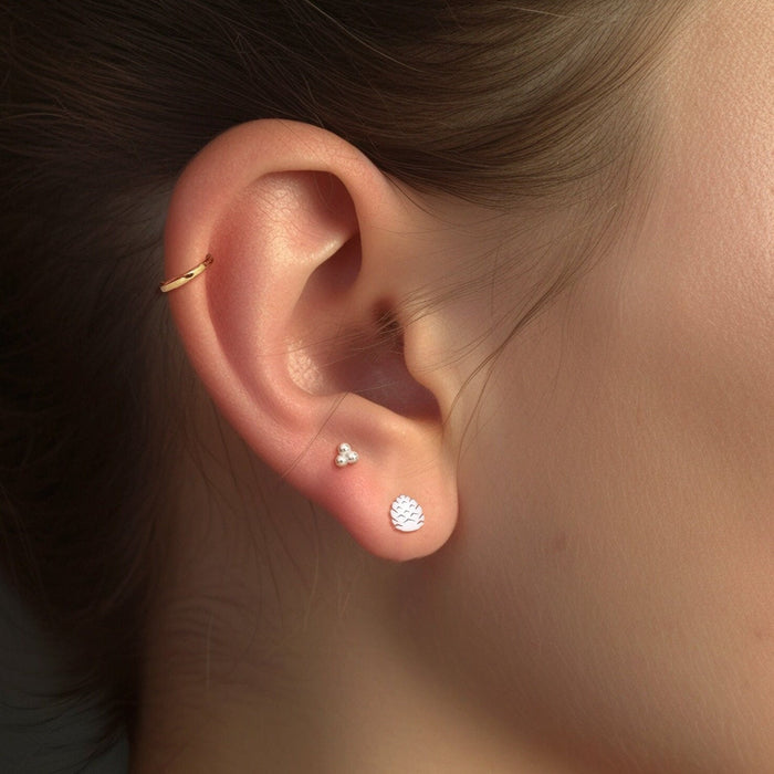 Pinecone Earrings Nature