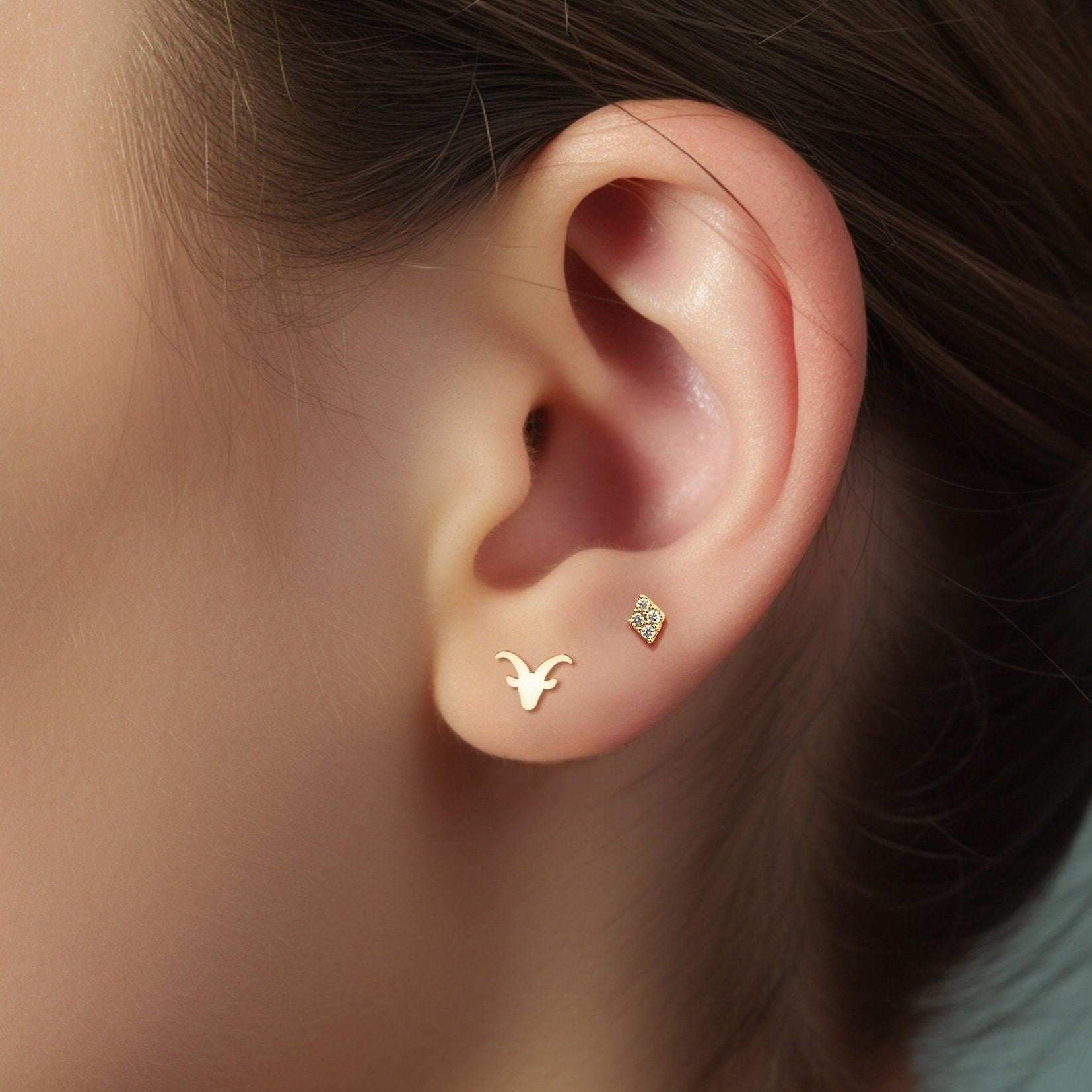 Capricorn Stud Earrings