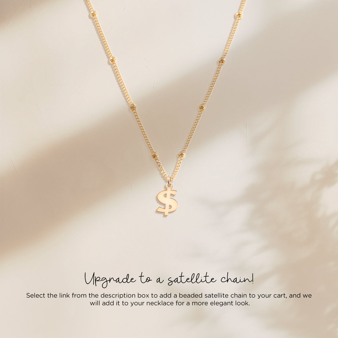 Dollar Sign Charm Necklace