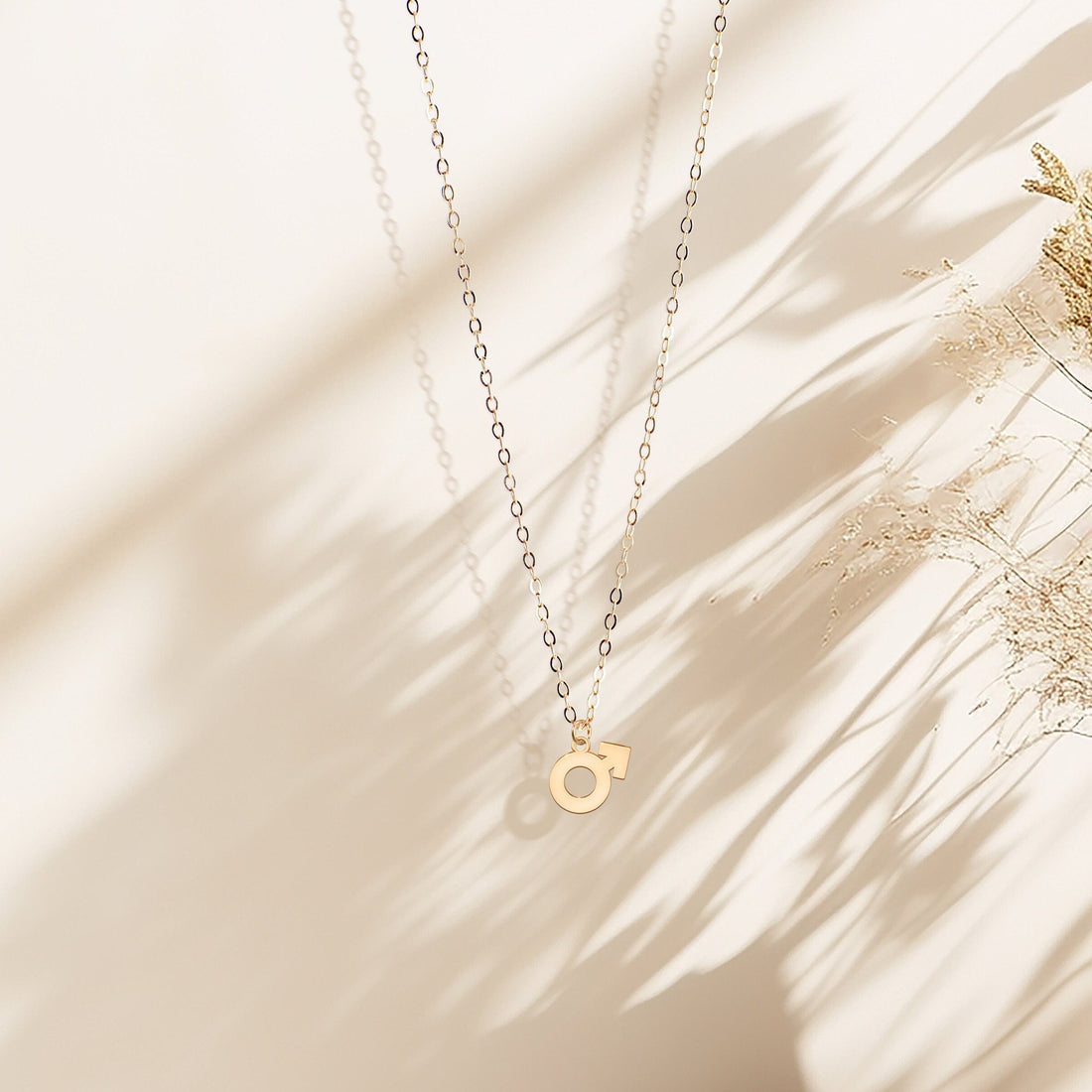 Male Symbol Pendant Necklace