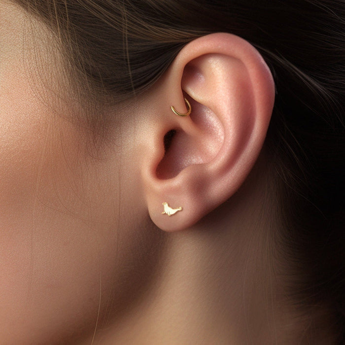 Seal Studs 14k