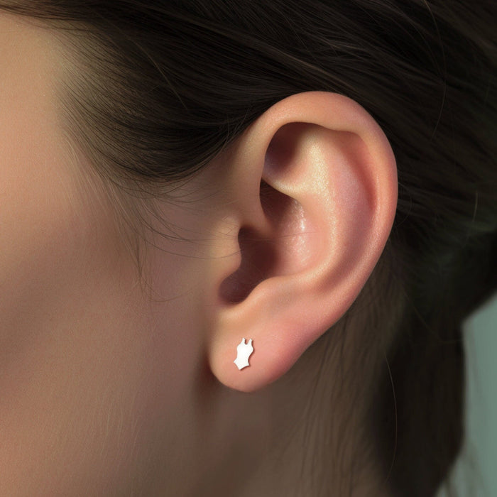 Swimming Earrings Swimmer