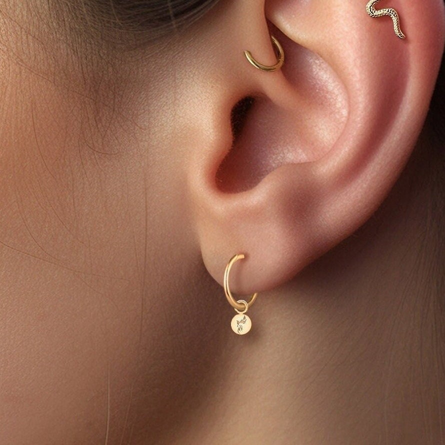 Phoenix Disc Charm Drop Earrings