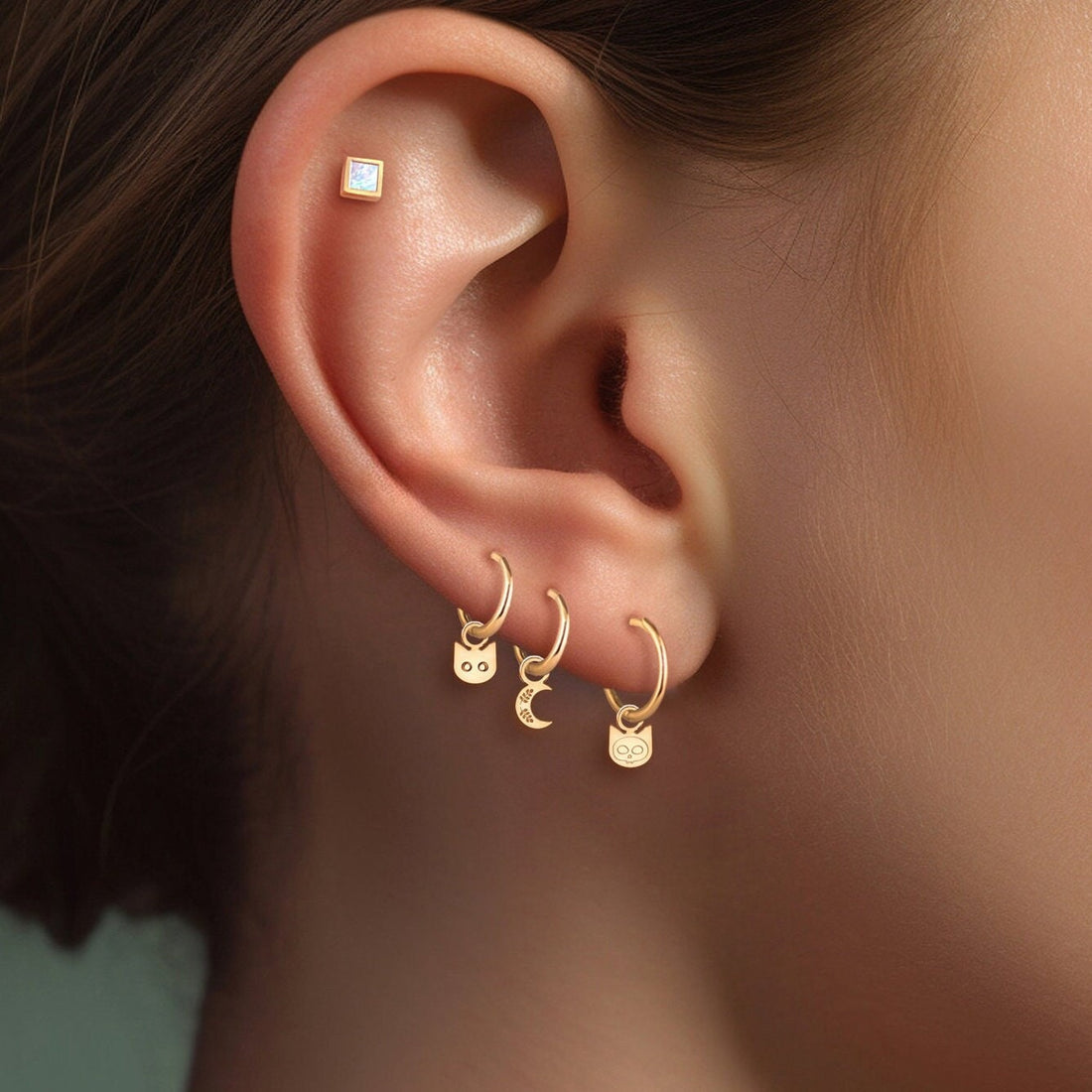 Cat Charm Hoop Earrings