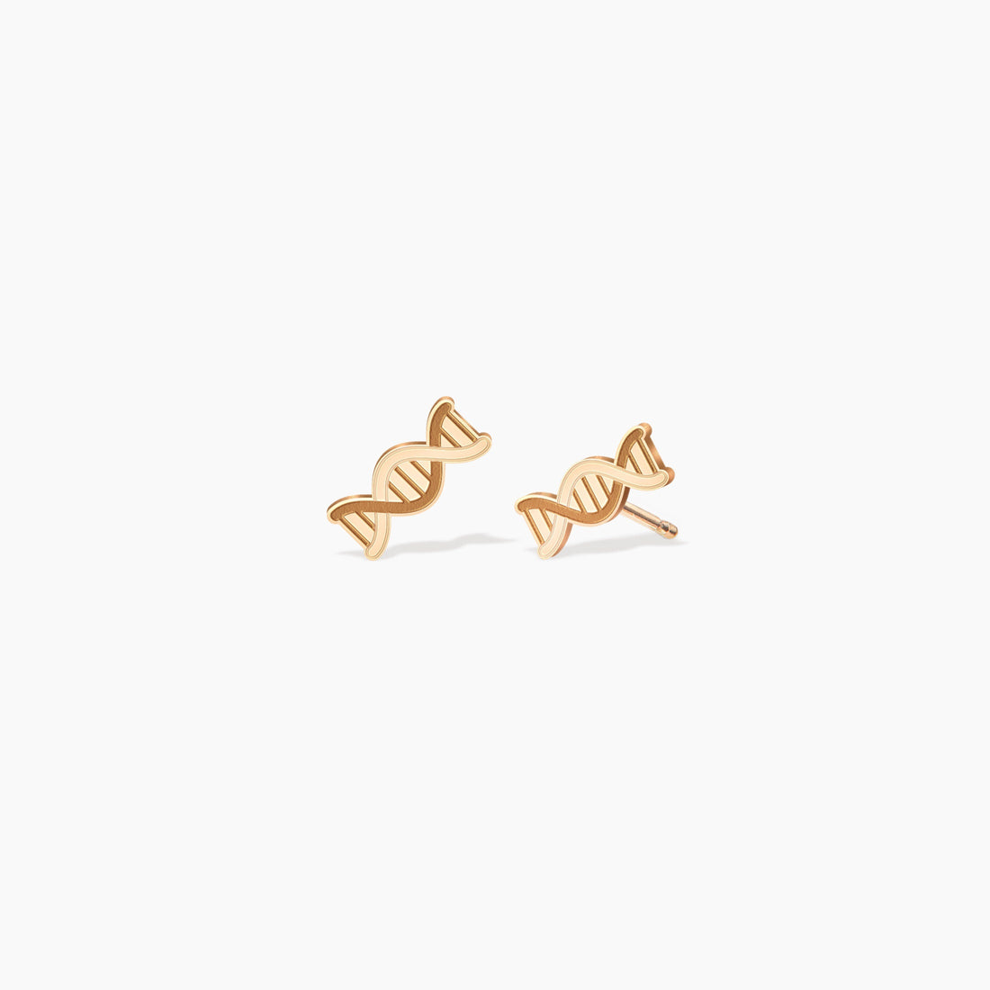 DNA Double Helix