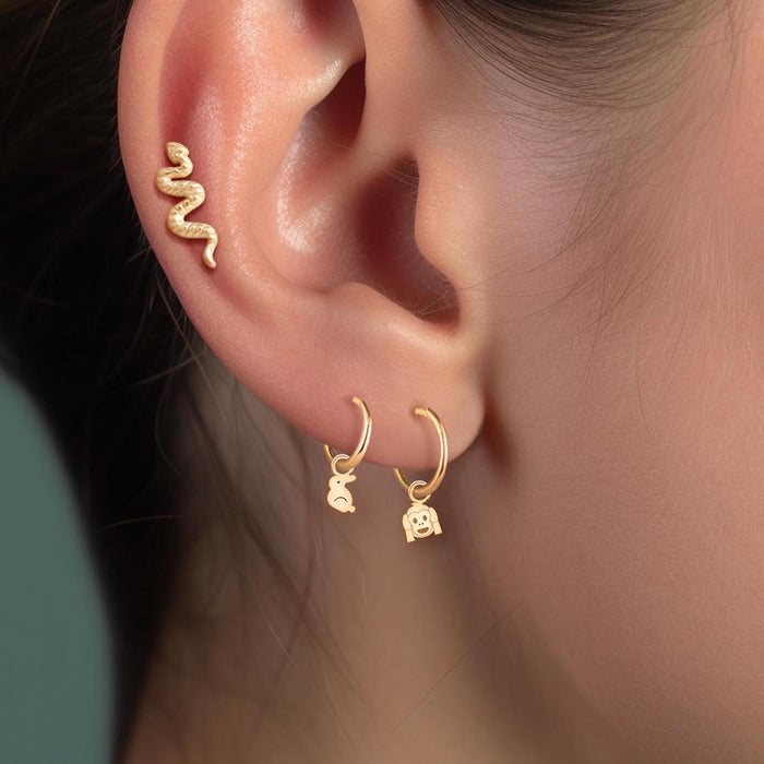 Monkey Hear No