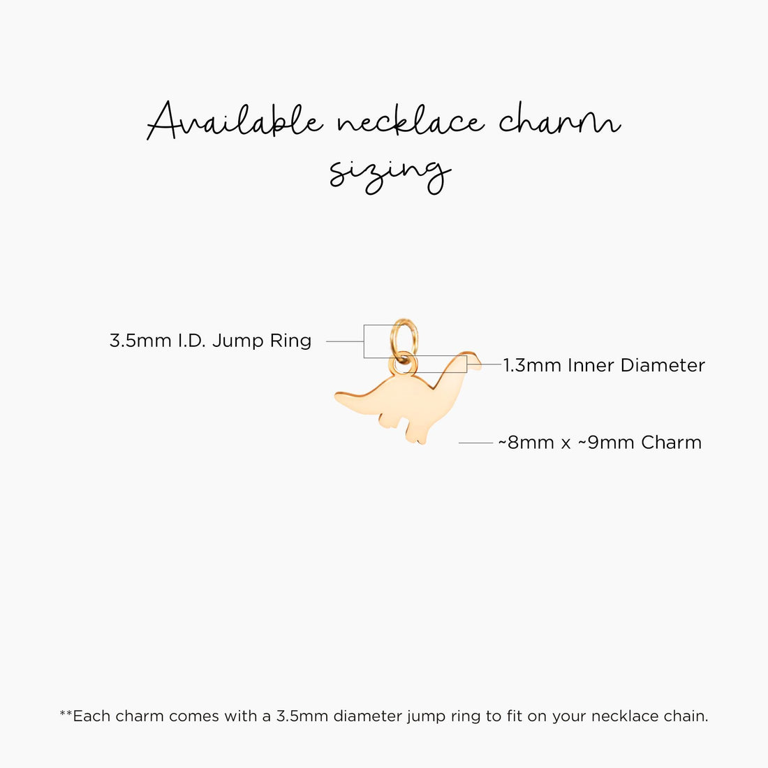 Dinosaur Charm