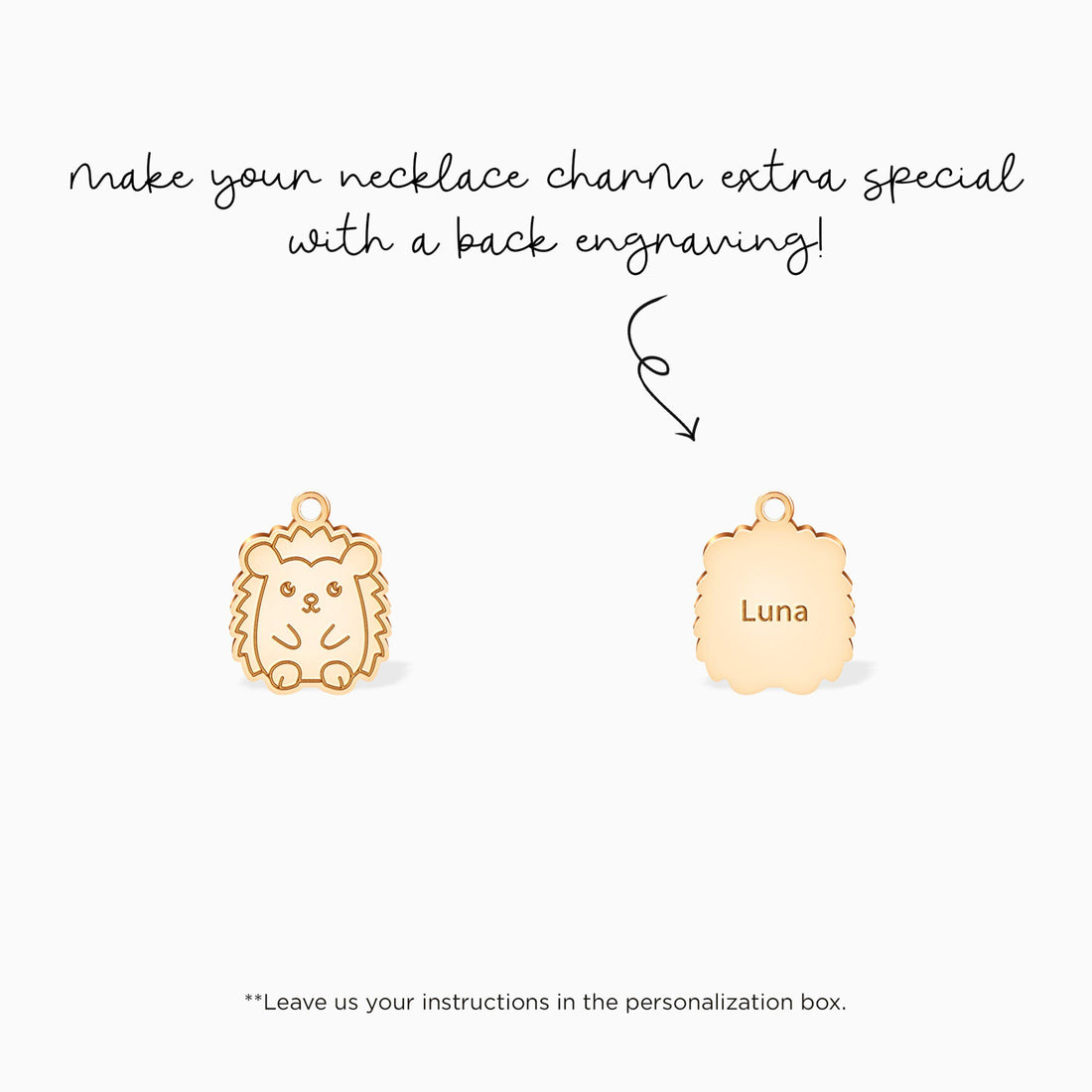 Hedgehog Standing Charm