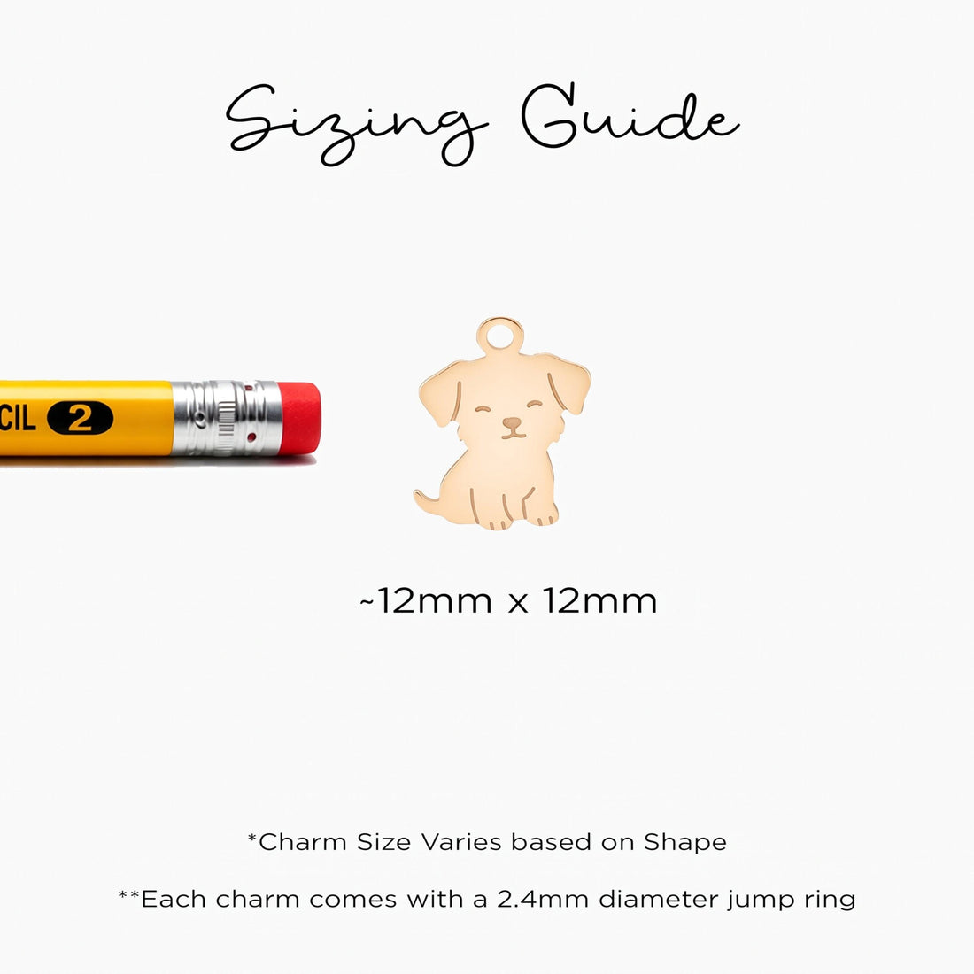 Floppy Puppy Dog Charm