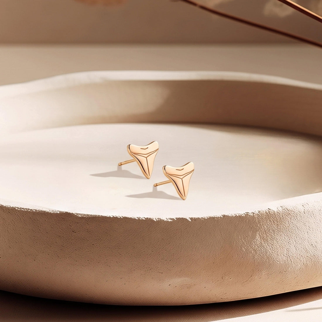 Shark Tooth Stud Earrings
