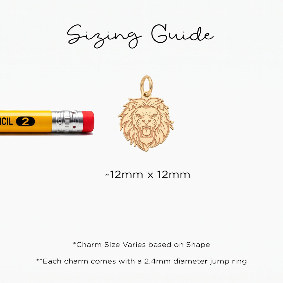 Roaring Lion Head Charm