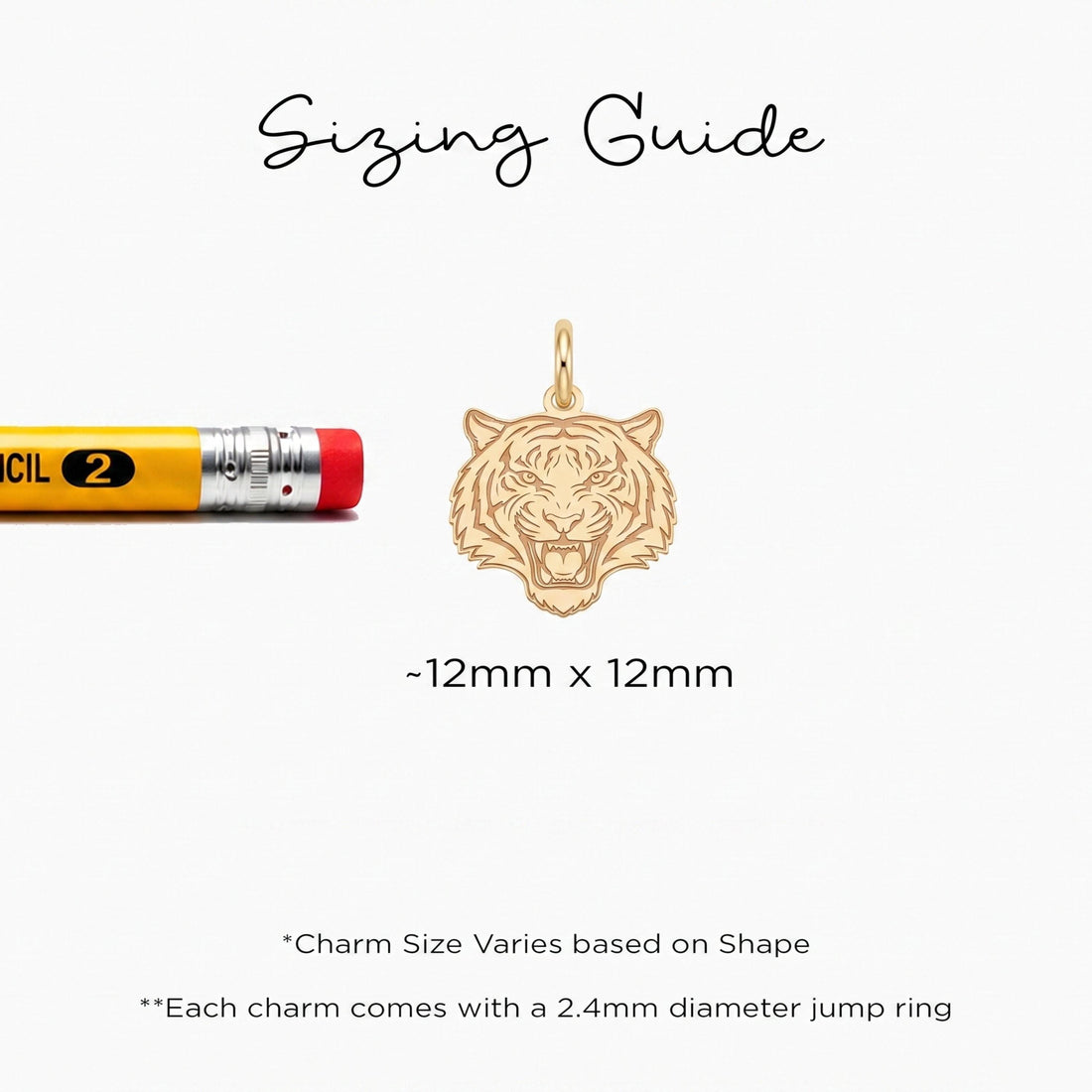 Roaring Tiger Head Charm