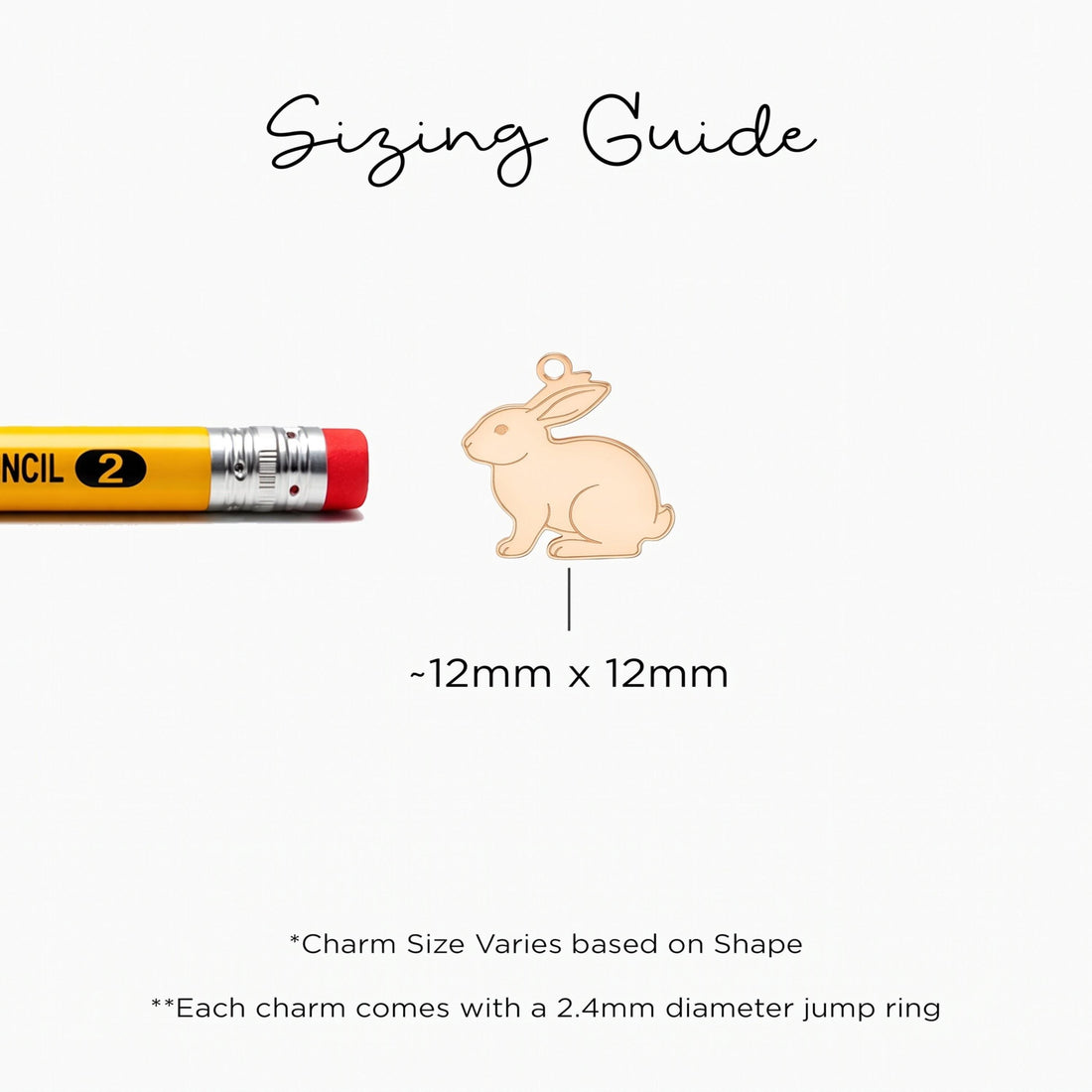Rabbit Bunny Animal Charm