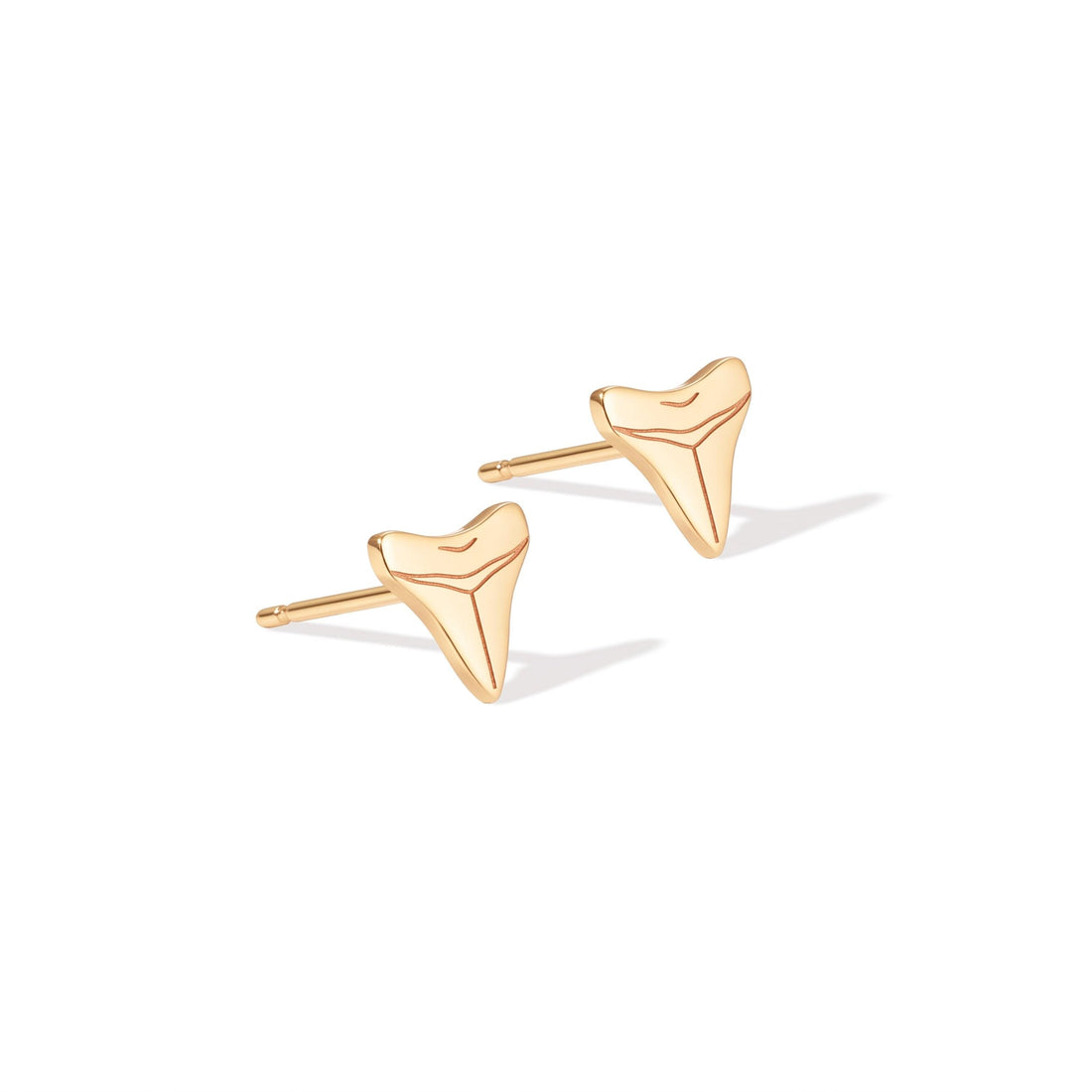 Shark Tooth Stud Earrings