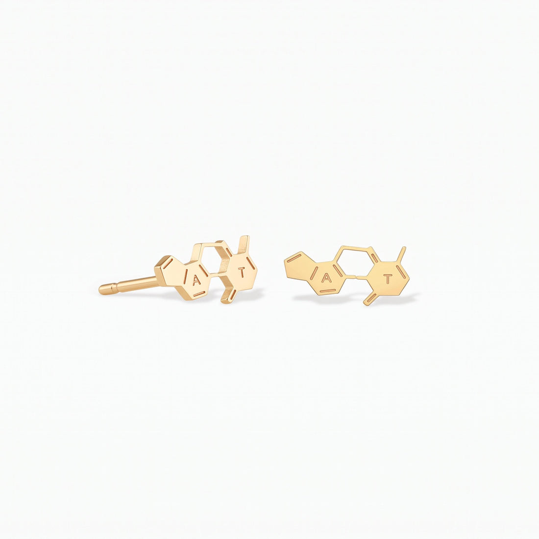 DNA Bases Stud Earrings