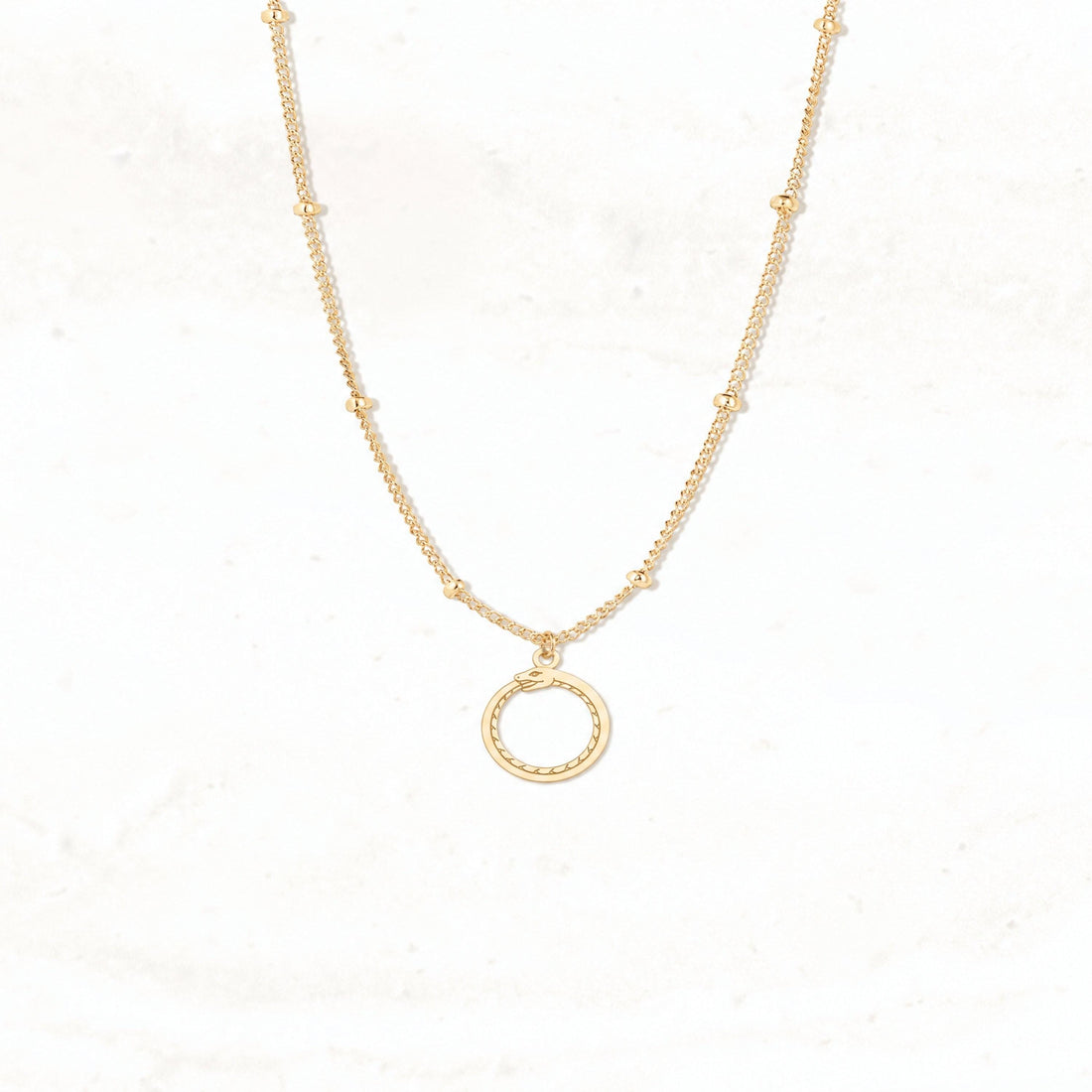 Snake Ouroboros Charm Necklace