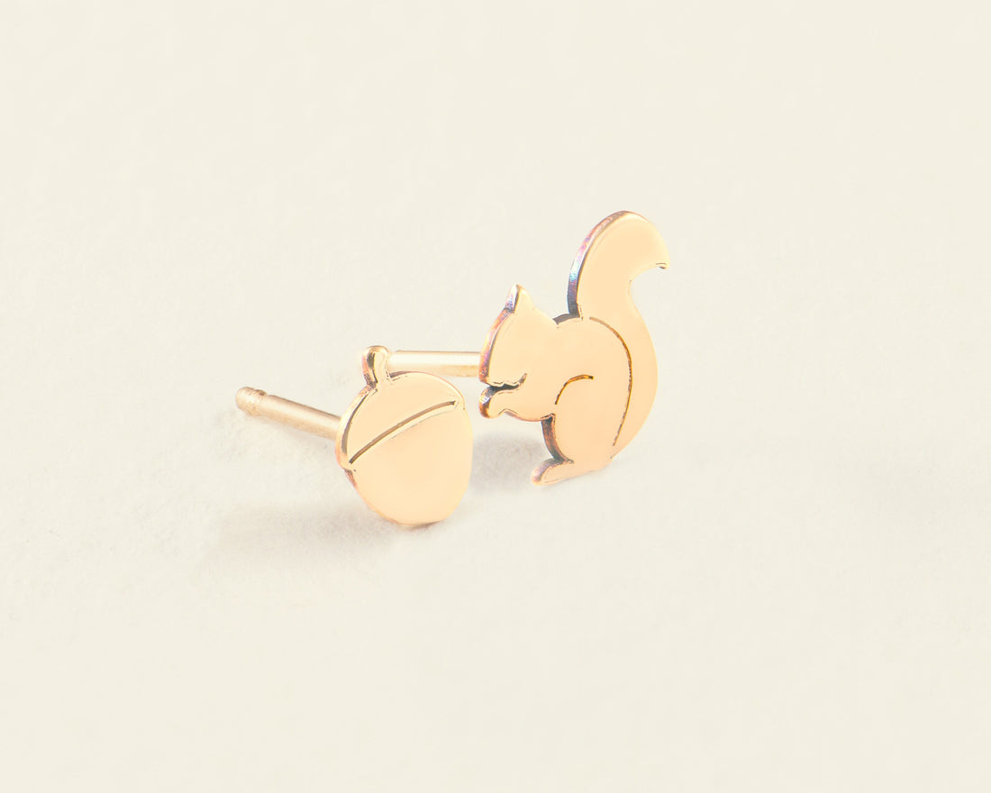 Squirrel and Acorn