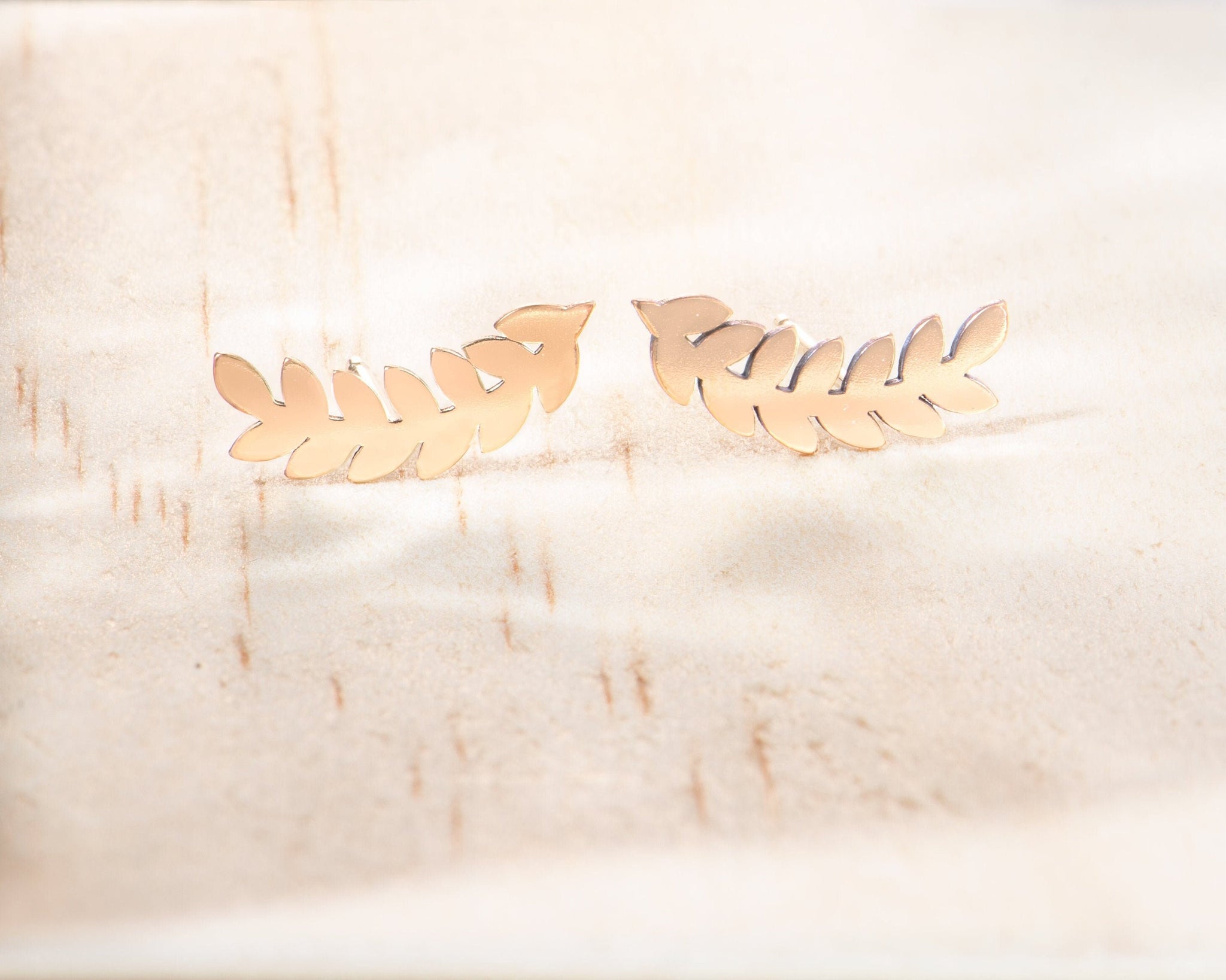 Ear Climber Gold Ear Climber Charm Necklace Set of 2