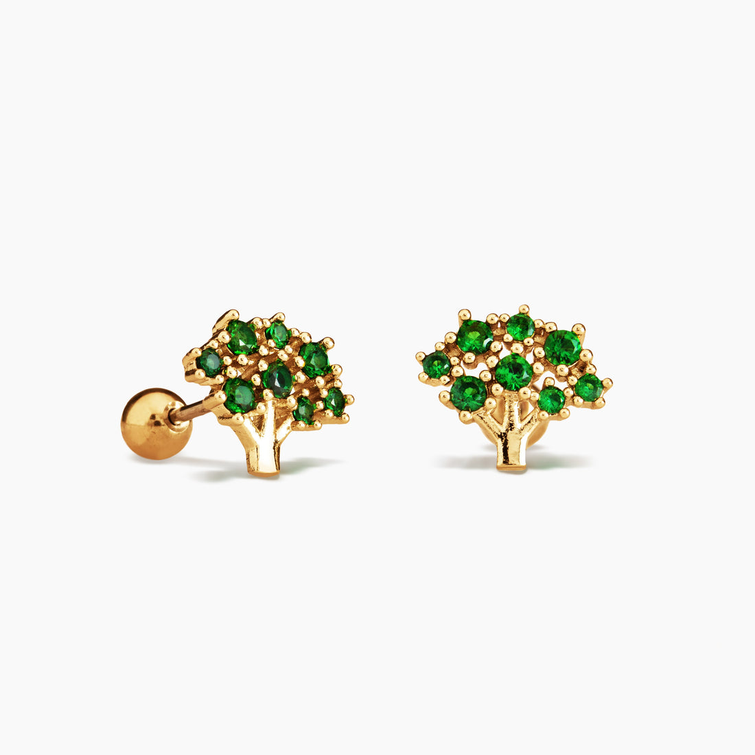 Tree of Life