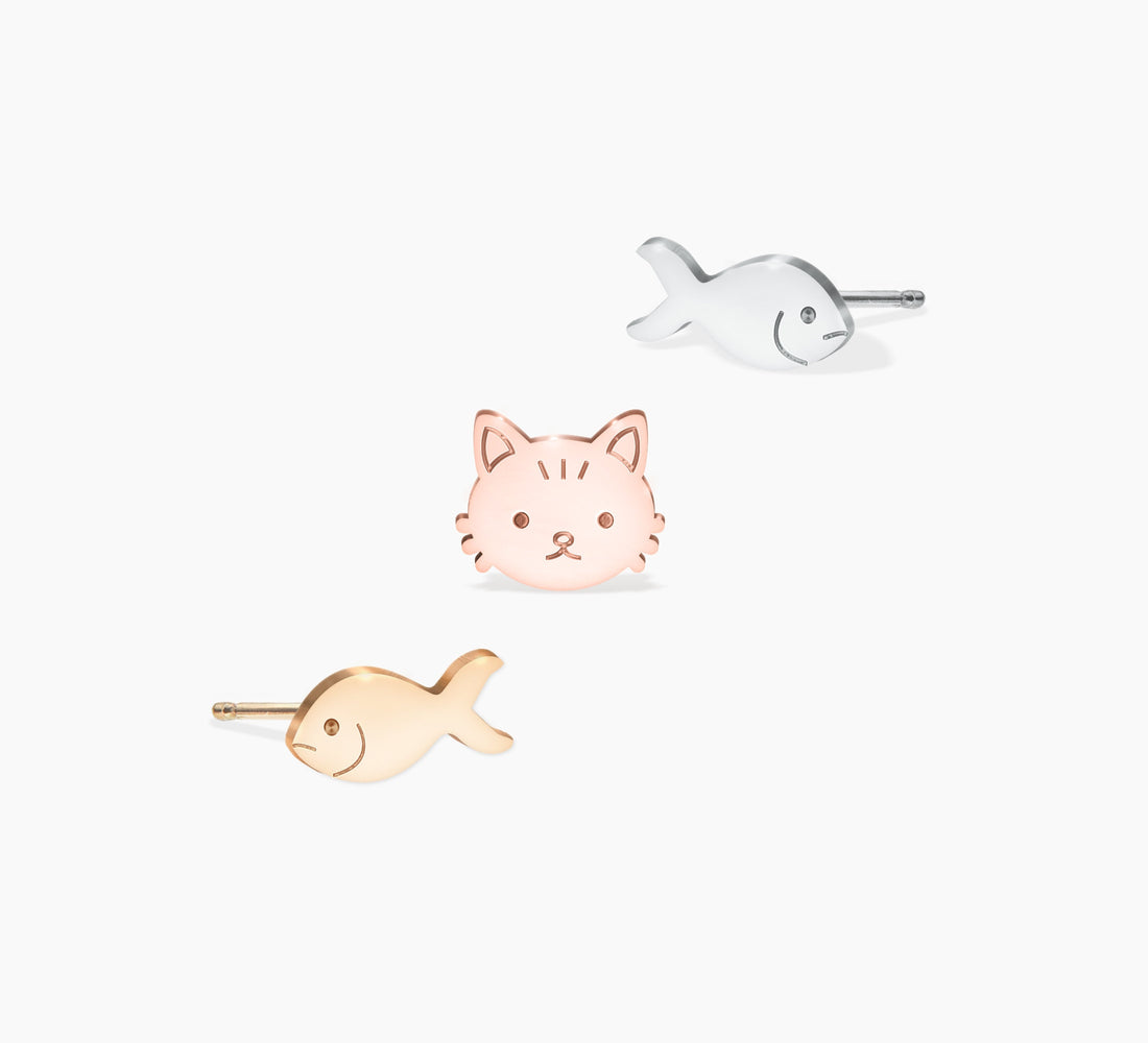 Mismatched Cat and