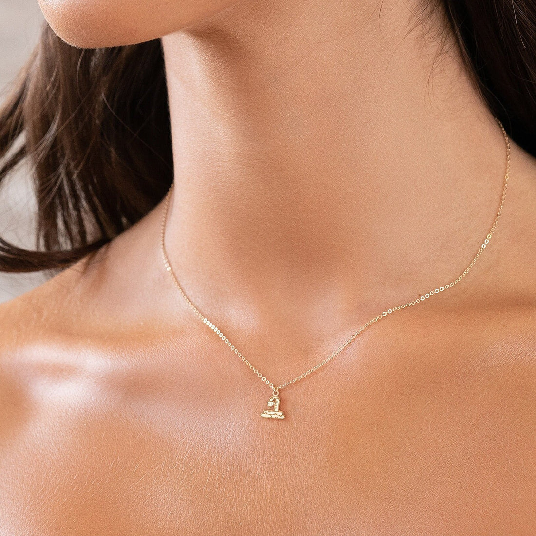Snake Charm Necklace