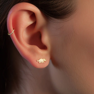 Triceratops Dinosaur Earrings