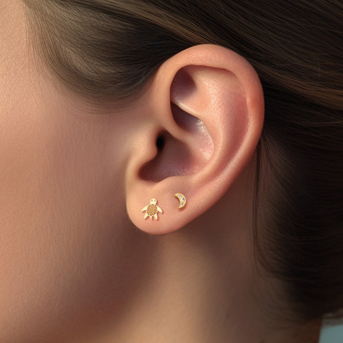 Turtle Charm Stud Earrings
