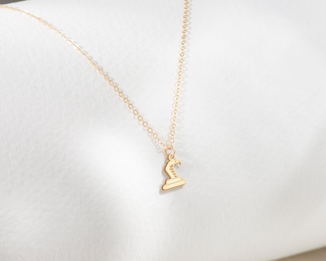 Snake Charm Necklace
