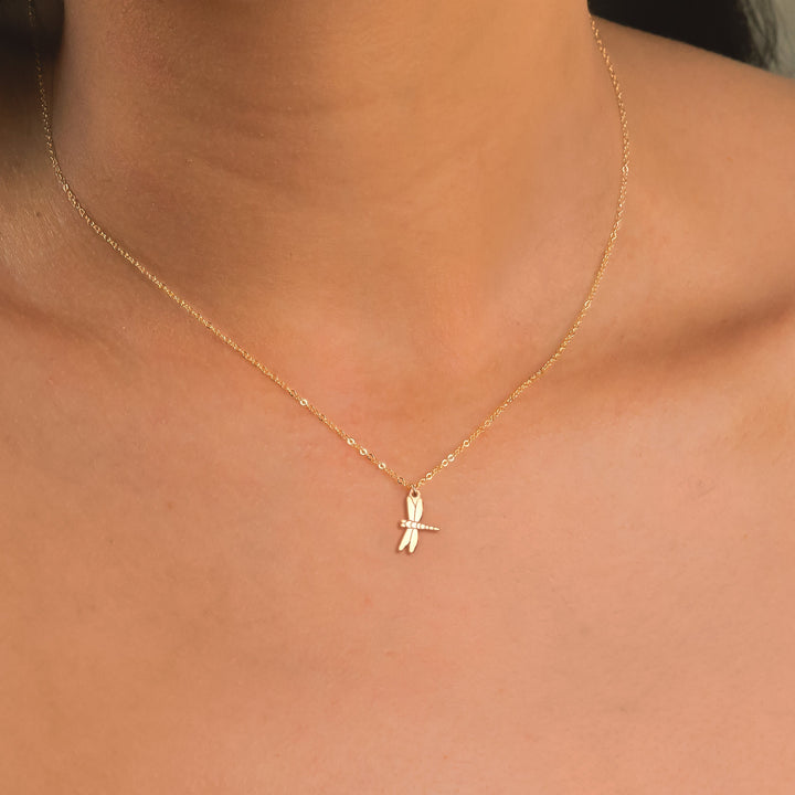 Dainty Flying DragonFly