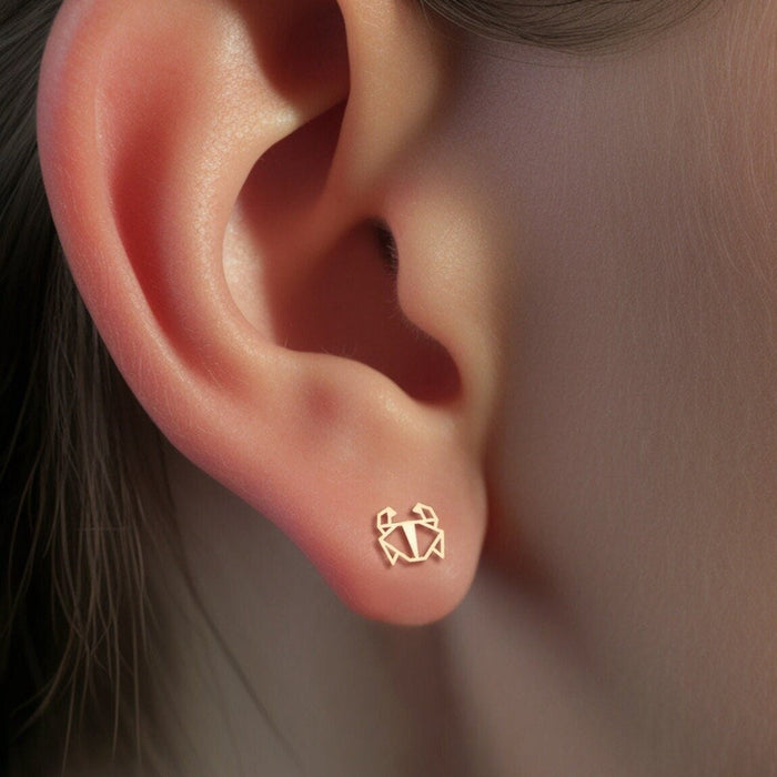 Crab Earrings Origami