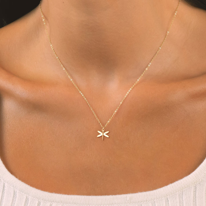 Dainty Dragon Fly