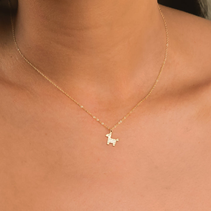 Dainty PiâÂ±ata Necklace