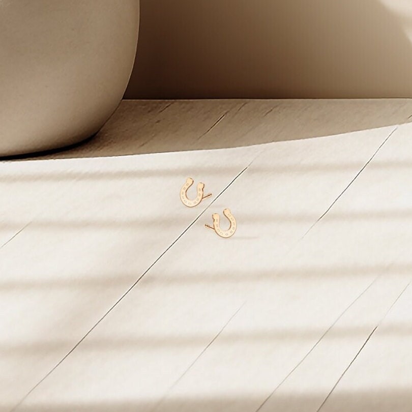 Cute Horseshoe Stud Earrings