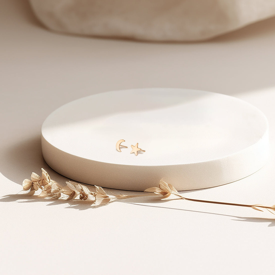 Star And Moon Stud Earrings