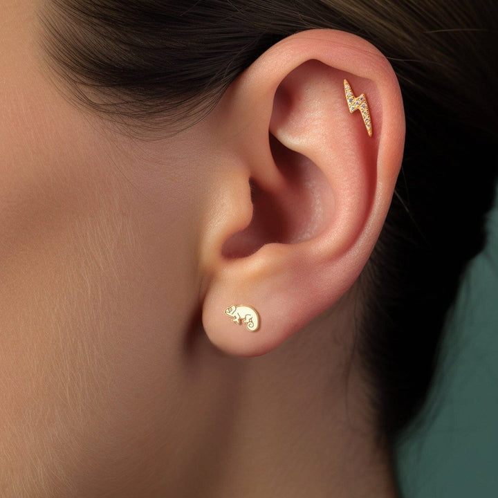 Chameleon Studs Reptile