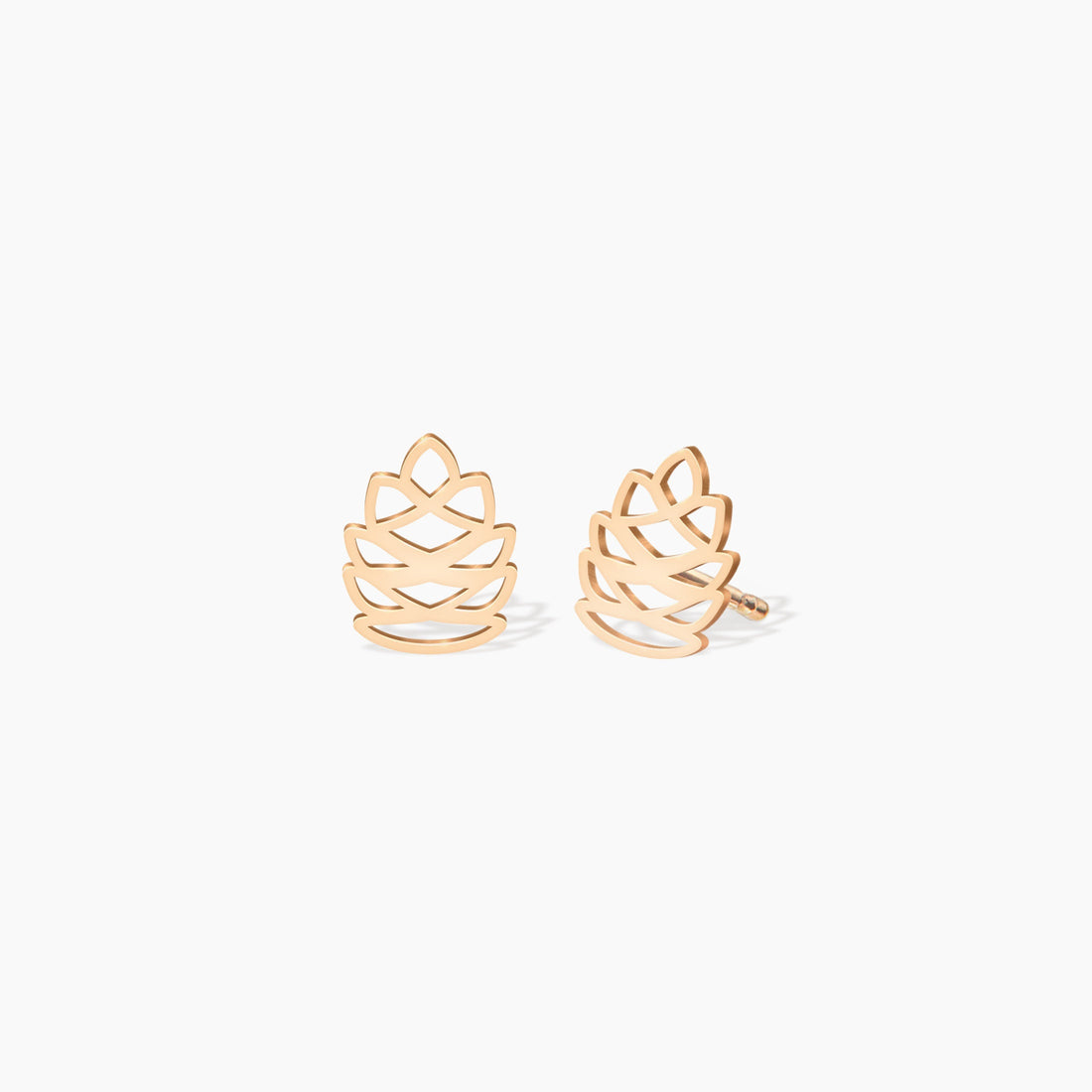 Cut out Pinecone