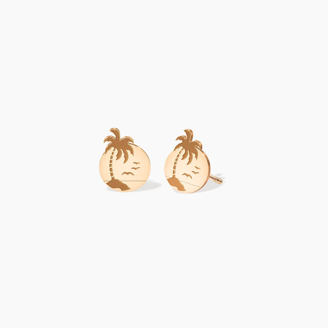 Palm Tree and