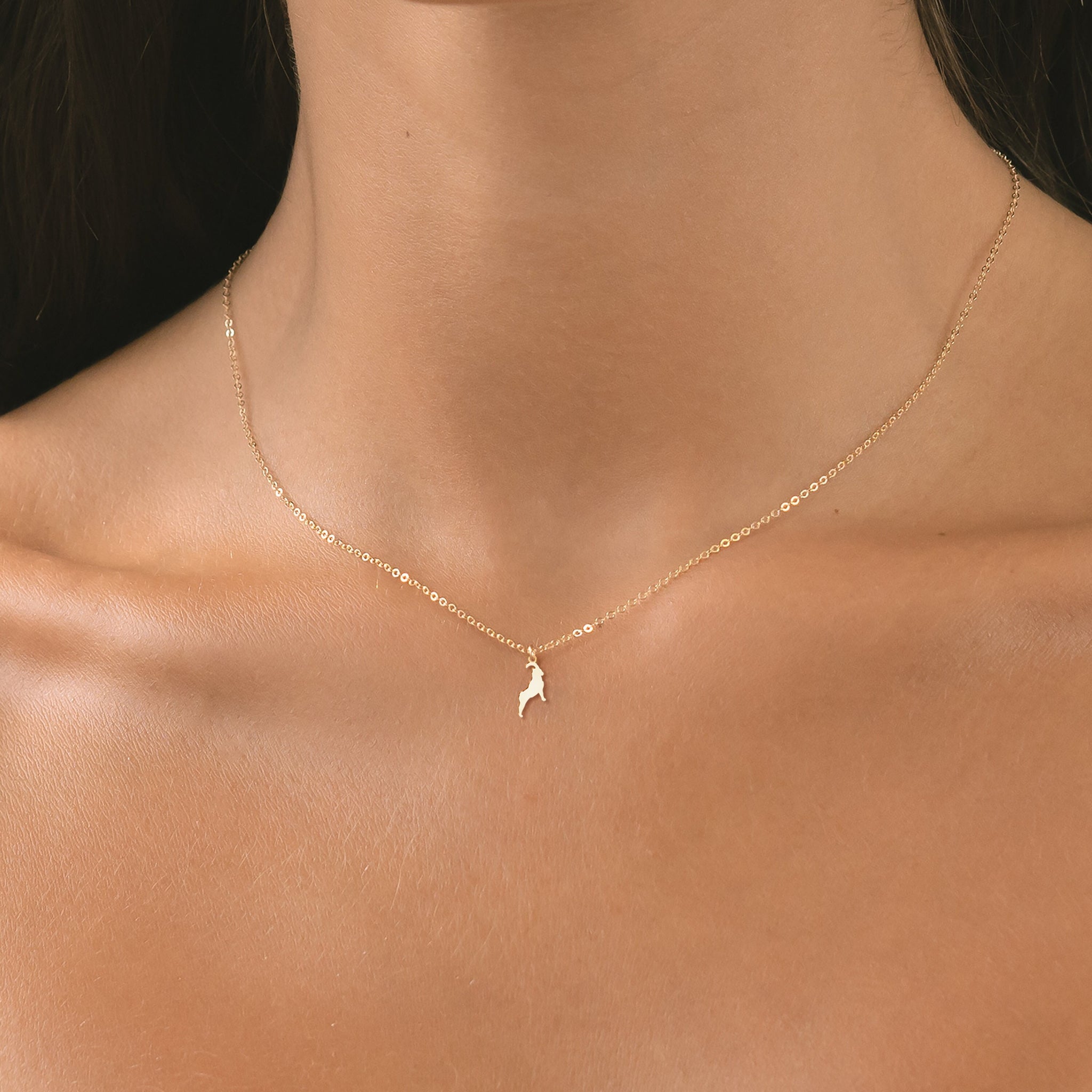 Ram Charm Necklace