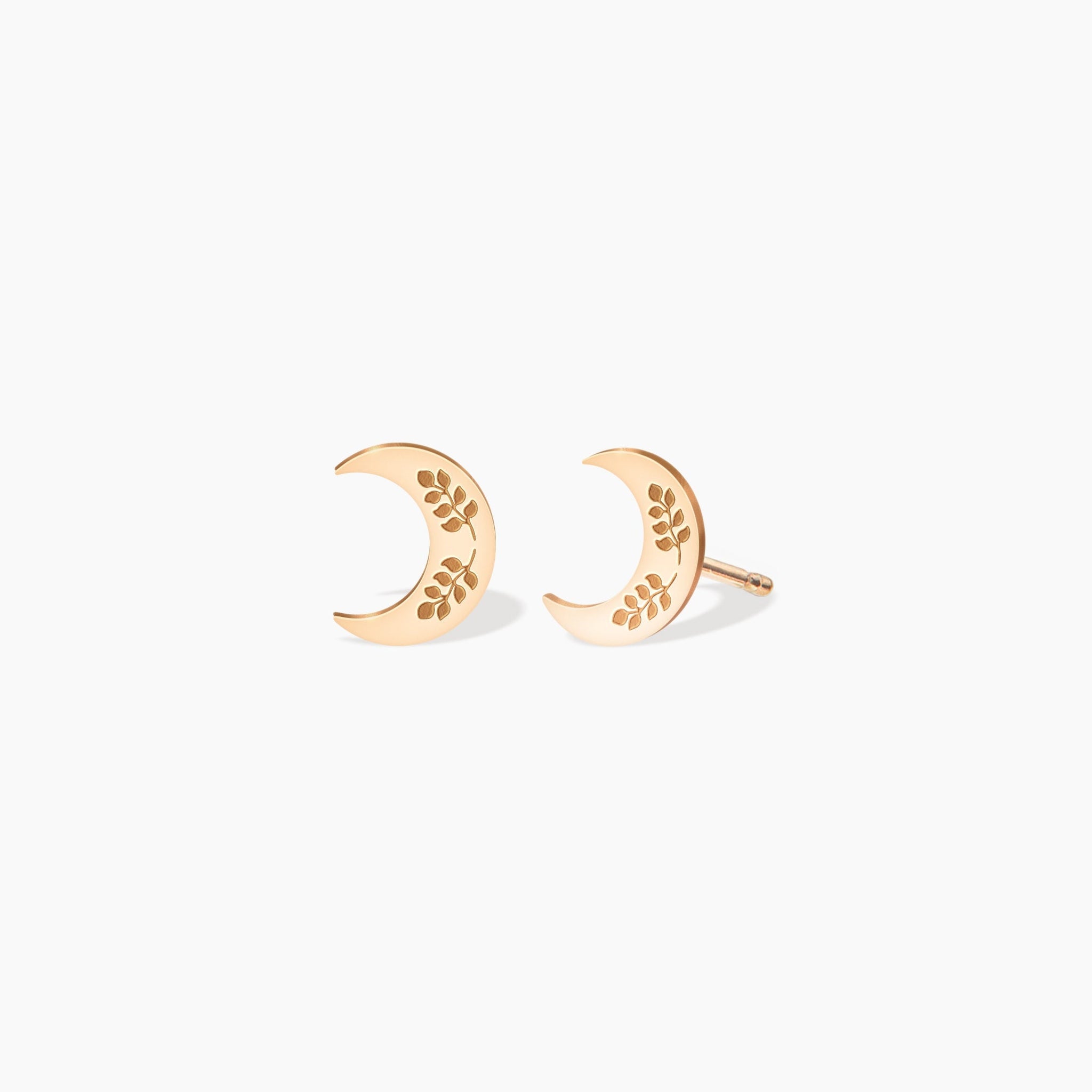 Crescent Moon Earrings