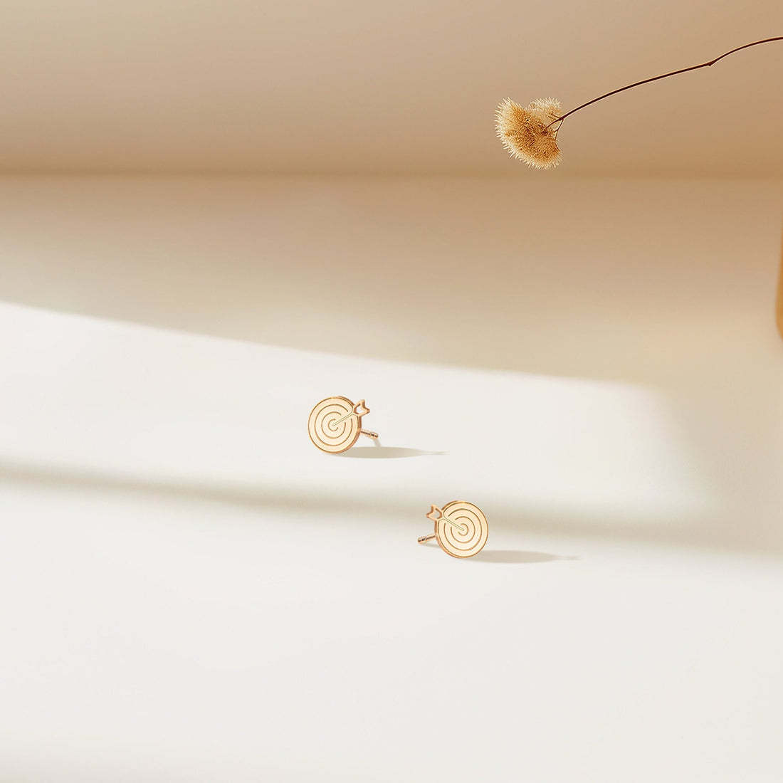 Bullseye Earrings Target