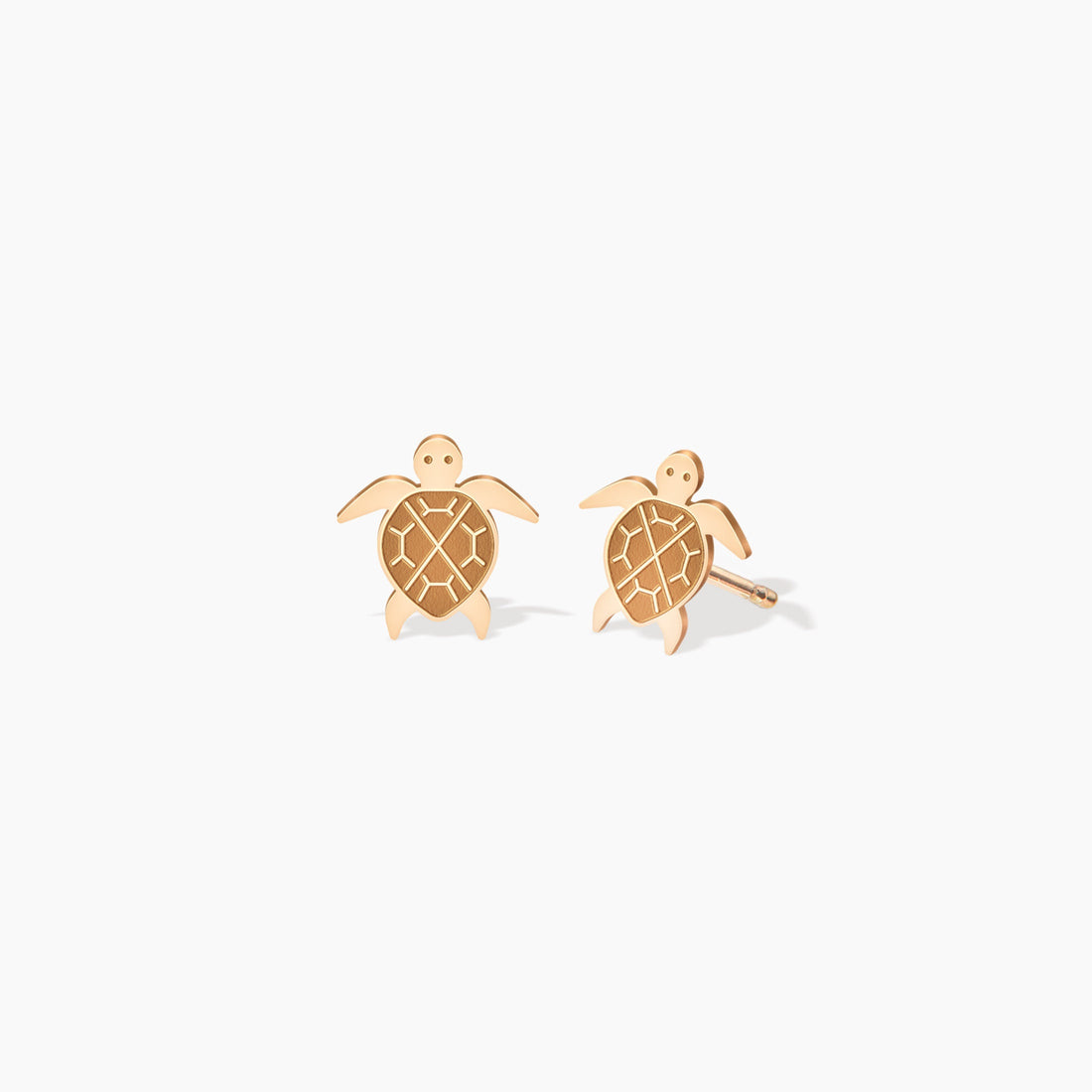 Cute Sea Turtle