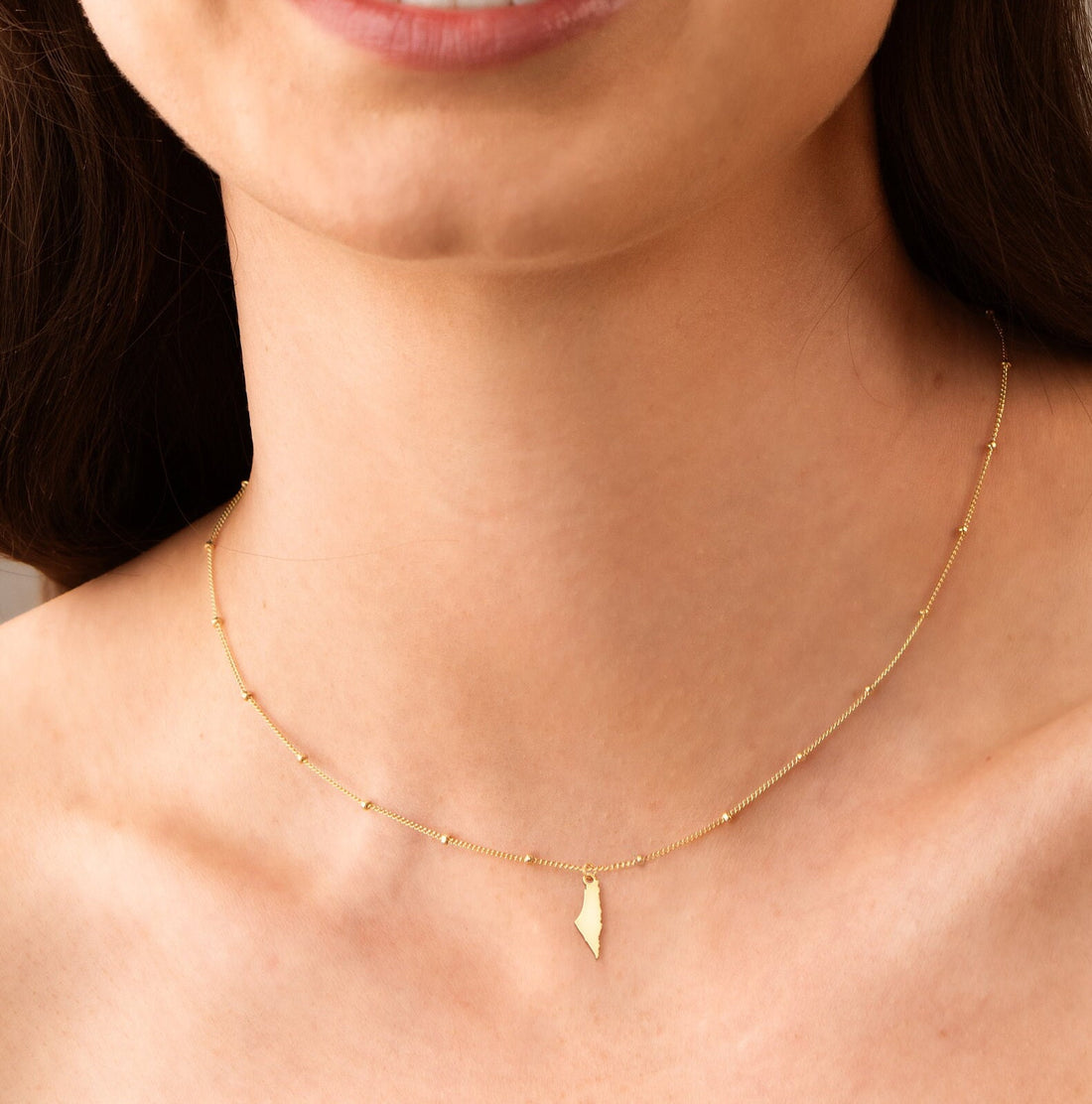 Map of Palestine Necklace on a Beady Chain