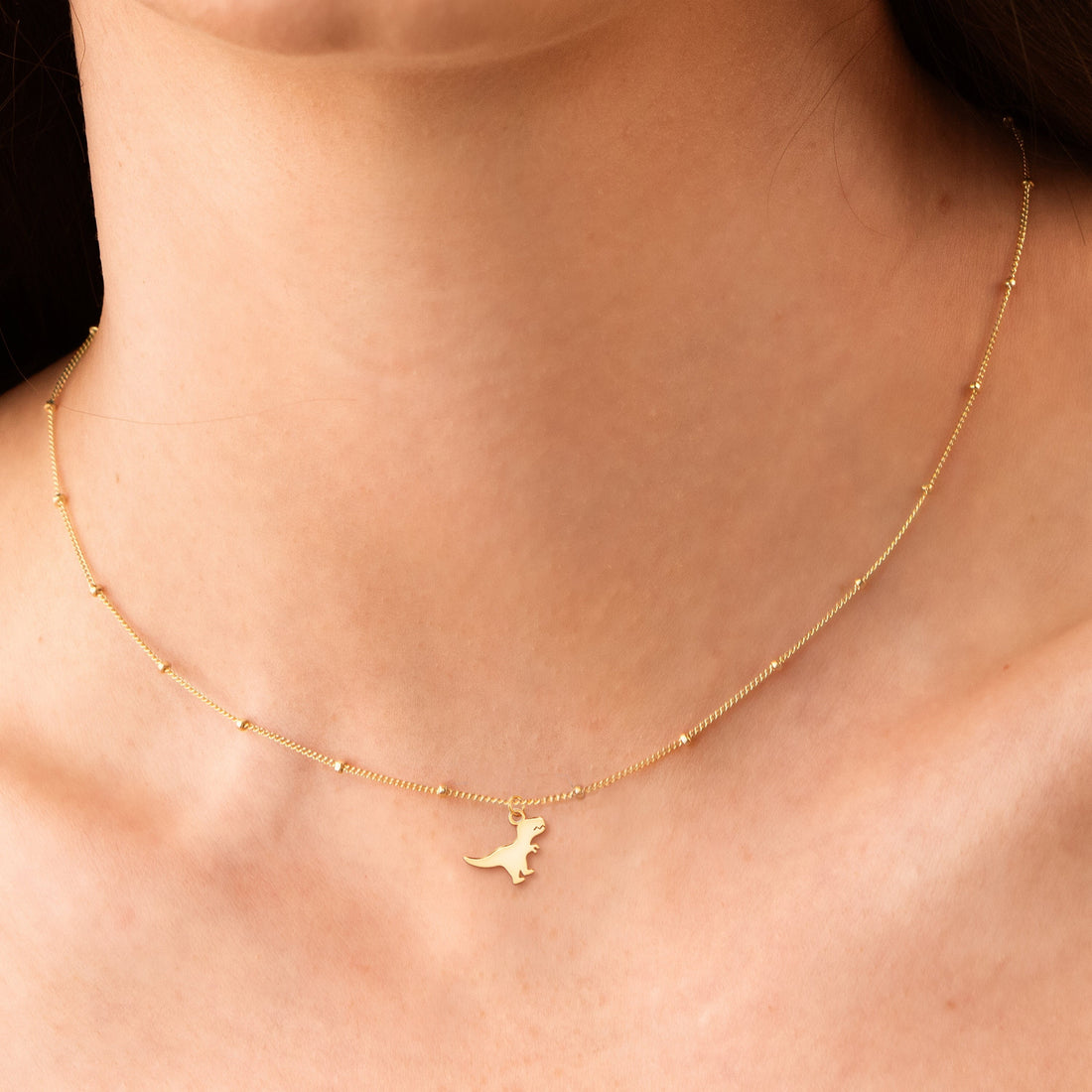 T-Rex Dinosaur Charm Necklace