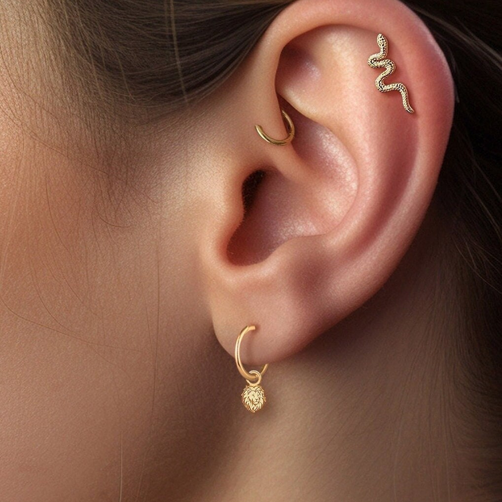 Lion Head Earrings